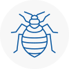 Bed Bug Extermination In Dewsbury